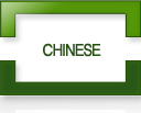 CHINESE
